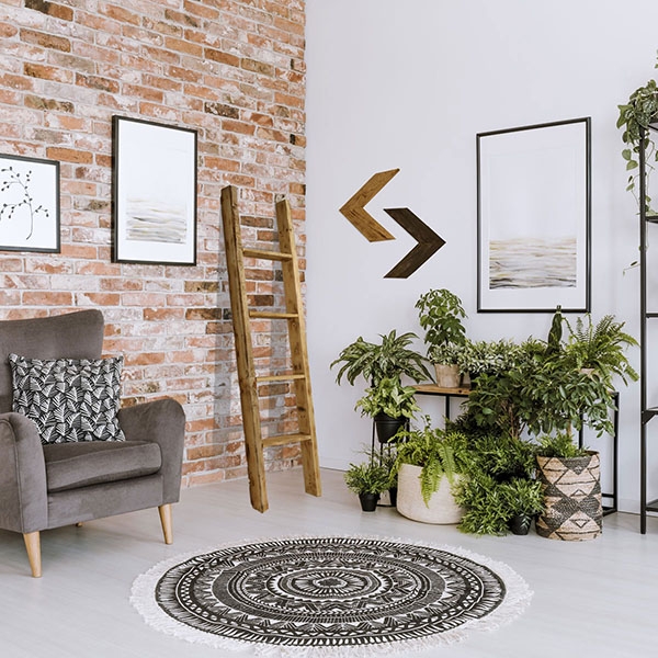 Image of Barnwood Ladders