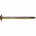 Image of Gold Star Cabinet Screws